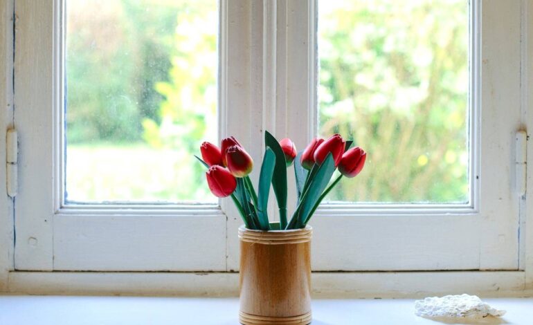 bloom-1866982_1280